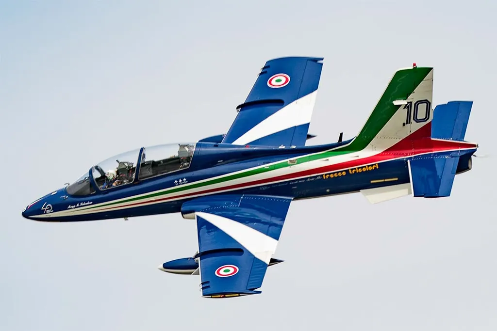 Ritratto di Frecce Tricolori 313° Gruppo
